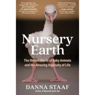 Nursery Earth