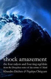 Shock Amazement