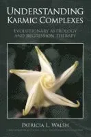 Understanding Karmic Complexes