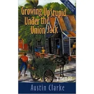 Growing Up Stupid Under the Union Jack