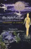 The Night Fountain