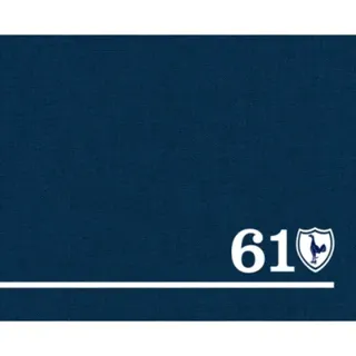 61