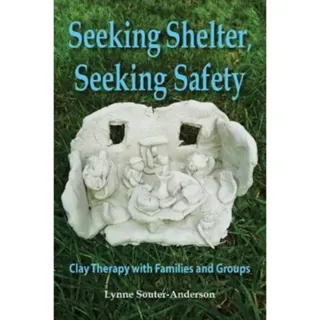 Seeking Shelter, Seeking Safety