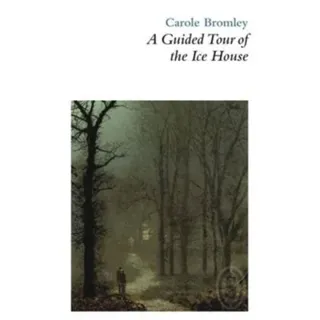 A Guided Tour of the Ice House