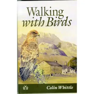 Walking with Birds