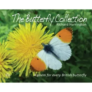 The Butterfly Collection