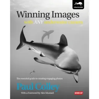 Winning Images with Any Underwater Camera
