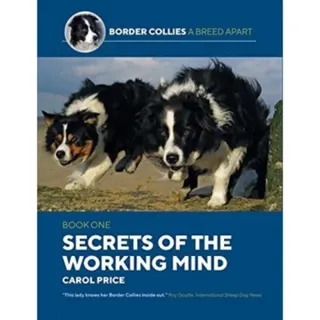 Secrets Of The Working Mind
