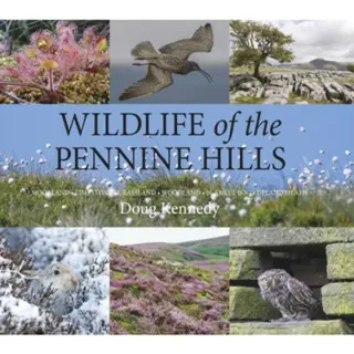 Wildlife of the Pennine Hills