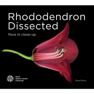 Rhododendron Dissected