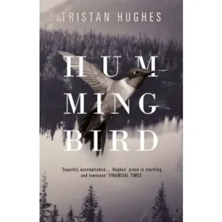 Hummingbird