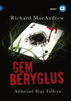 Cyfres Amdani: Gêm Beryglus
