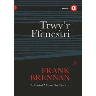 Cyfres Amdani: Trwy'r Ffenestri