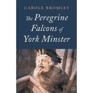 The Peregrine Falcons of York Minster