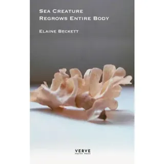 Sea Creature Regrows Entire Body