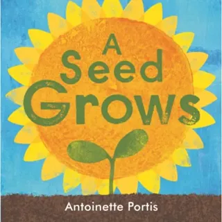 A seed grows