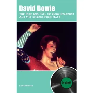 David Bowie The Rise And Fall Of Ziggy Stardust And The Spiders From Mars: In-depth