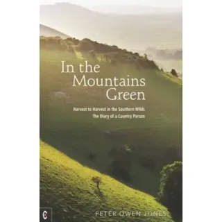 In the Mountains Green