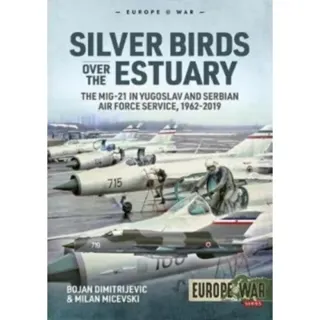 Silver Birds over the Estuary