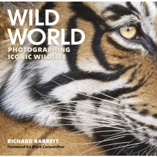 Wild World