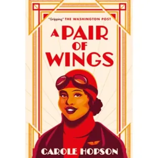 A Pair of Wings