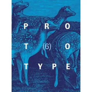 PROTOTYPE 6