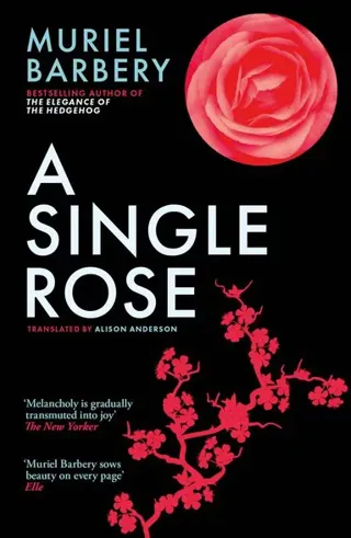 Single Rose