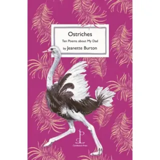 Ostriches