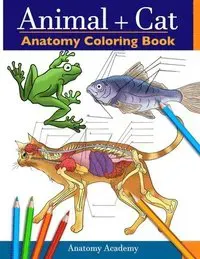 Animal & Cat Anatomy Coloring Book