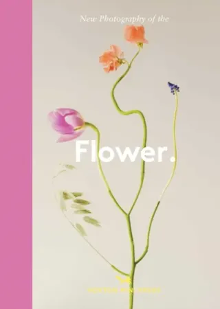 Flower.