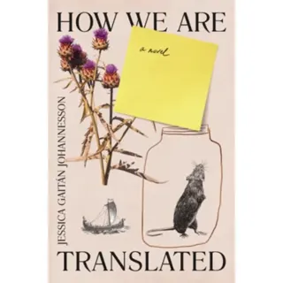 How We Are Translated