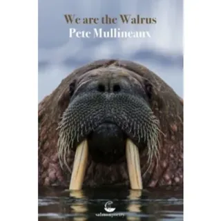 We Are The Walrus