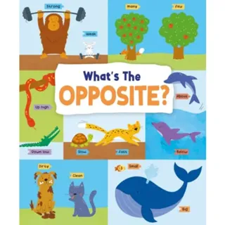 What's the Opposite?
