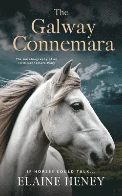 Galway Connemara | The Autobiography of an Irish Connemara Pony. If horses could talk