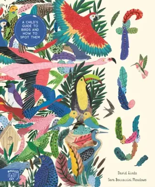 Fly: Shortlisted for the Wainwright Prize for Children's Nature and Conservation Writing 2024