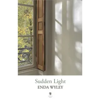 Sudden Light