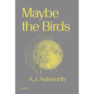 Maybe the Birds