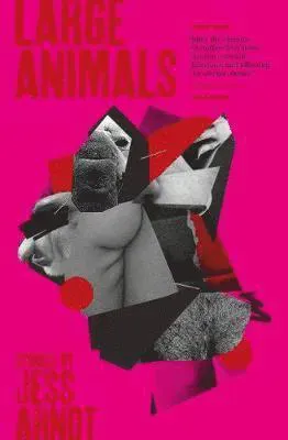 Large Animals
