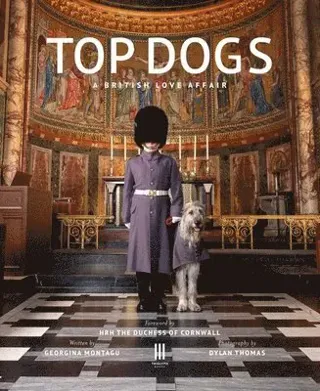Top Dogs