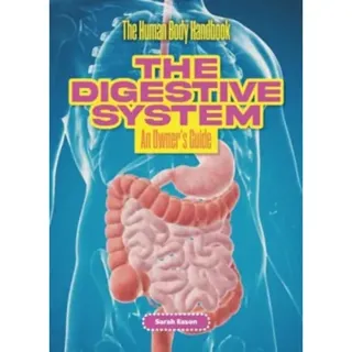 The Digestive System