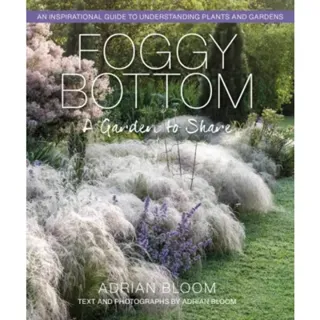 Foggy Bottom