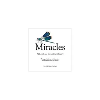 Miracles : When I See The Extraordinary