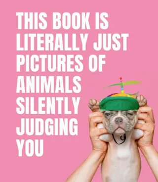 This Book is Literally Just Pictures of Animals Silently Judging You