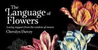 Language Of Flowers - Mini Inspiration Cards