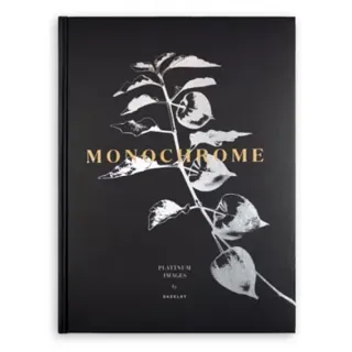 Monochrome