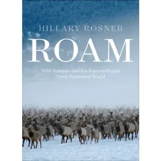 Roam