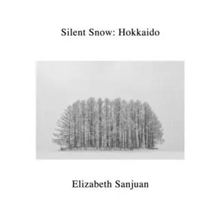 Silent Snow