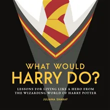 What Would Harry Do?