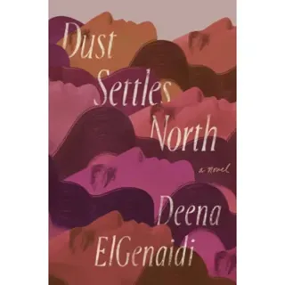 Dust Settles North