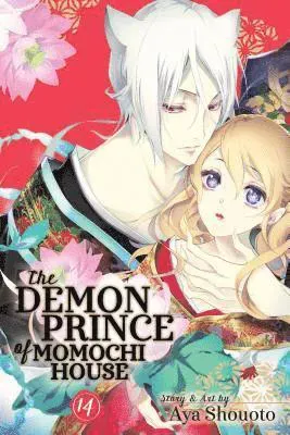 Demon Prince of Momochi House, Vol. 14